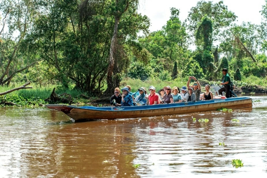 Chiếc xuồng ba lá lướt nhẹ giữa rừng tràm, nhịp cầu nối giữa con người và linh hồn của đại ngàn phương Nam. Chiếc xuồng ba lá lướt nhẹ giữa rừng tràm, nhịp cầu nối giữa con người và linh hồn của đại ngàn phương Nam.