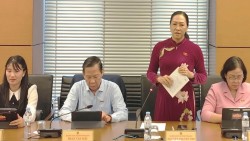 Đại biểu Quốc hội đề xuất nâng ngưỡng doanh thu không chịu thuế lên 1 tỷ đồng