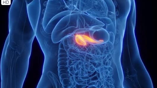 Vaccine mRNA cá thể hóa: Hy vọng cải thiện tiên lượng ung thư tụy