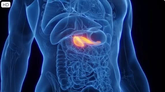 Vaccine mRNA cá thể hóa: Hy vọng cải thiện tiên lượng ung thư tụy