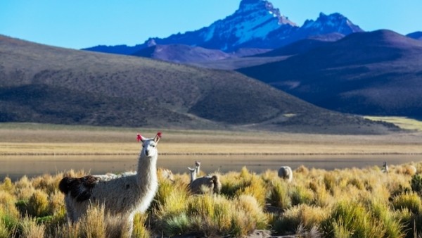 Khám phá những quốc gia miễn visa cho công dân Việt Nam vào năm 2026