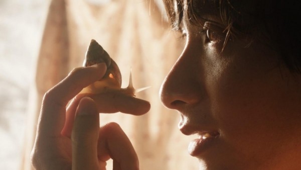 Phim Việt tranh giải tại Liên hoan phim Cannes 2026