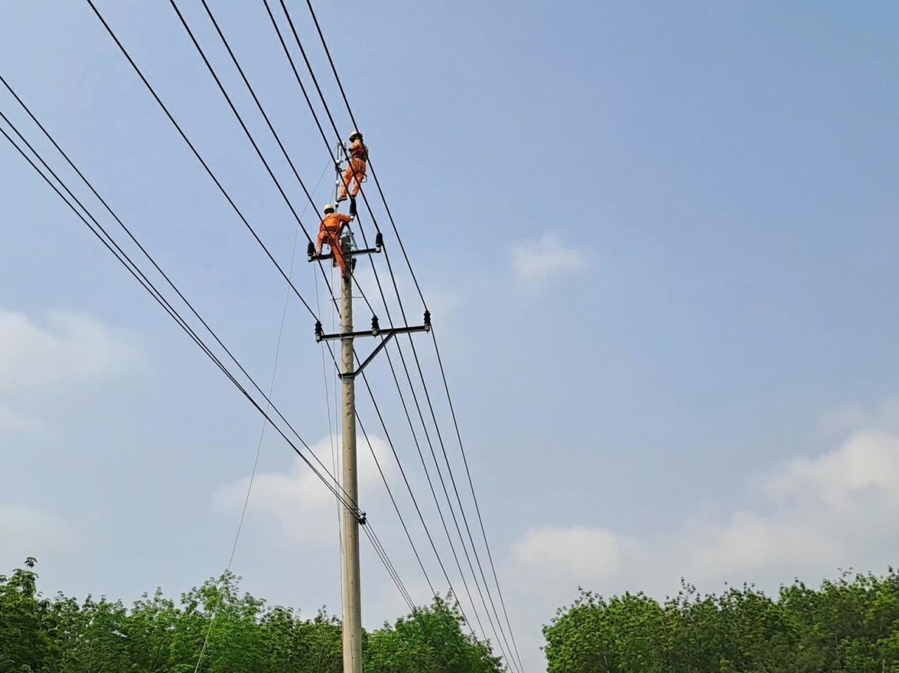 Lịch cúp điện Quảng Ngãi hôm nay ngày 29/4/2026