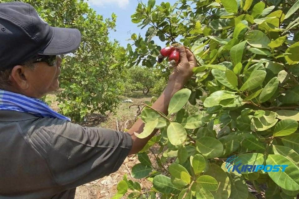 Campuchia đẩy mạnh xây dựng bản sắc thương hiệu quốc gia thông qua một động thái