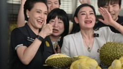 Sầu riêng Thái 'cháy hàng' trên livestream Trung Quốc