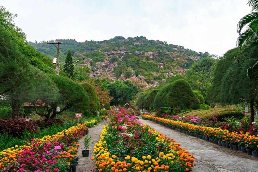 Tức Dụp tháng Tư: Đánh thức đại ngàn bằng bản giao hưởng hòa bình