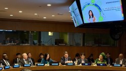 Việt Nam chủ trì Tọa đàm về sử dụng hòa bình năng lượng hạt nhân bên lề Hội nghị kiểm điểm Hiệp ước không phổ biến vũ khí hạt nhân lần thứ 11