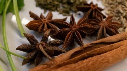 Triển lãm về hành trình toàn cầu của gia vị Việt Nam tại Thụy Sỹ