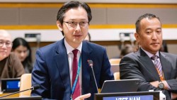 Tọa đàm kỷ niệm Ngày Vesak Liên hợp quốc 2026: Phát huy giá trị Phật giáo vì hòa bình và hợp tác toàn cầu