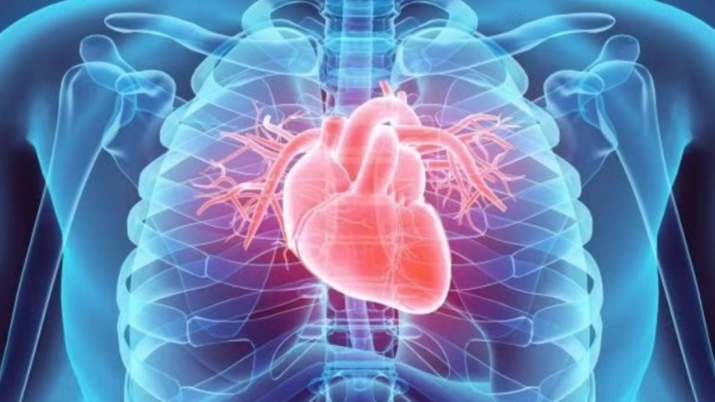 Những thói quen buổi sáng tưởng vô hại nhưng làm tăng nguy cơ bệnh tim