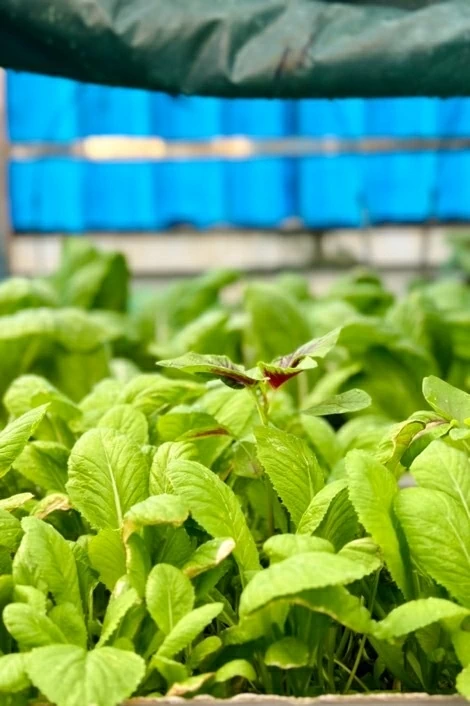 Tôi đã thấy Trường Sa!