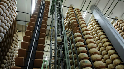 Ngân hàng phô mai của Italia: Khi Parmigiano Reggiano trở thành kho vàng tài chính