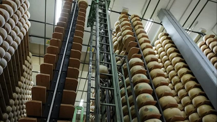 Ngân hàng phô mai của Italia: Khi Parmigiano Reggiano trở thành kho vàng tài chính