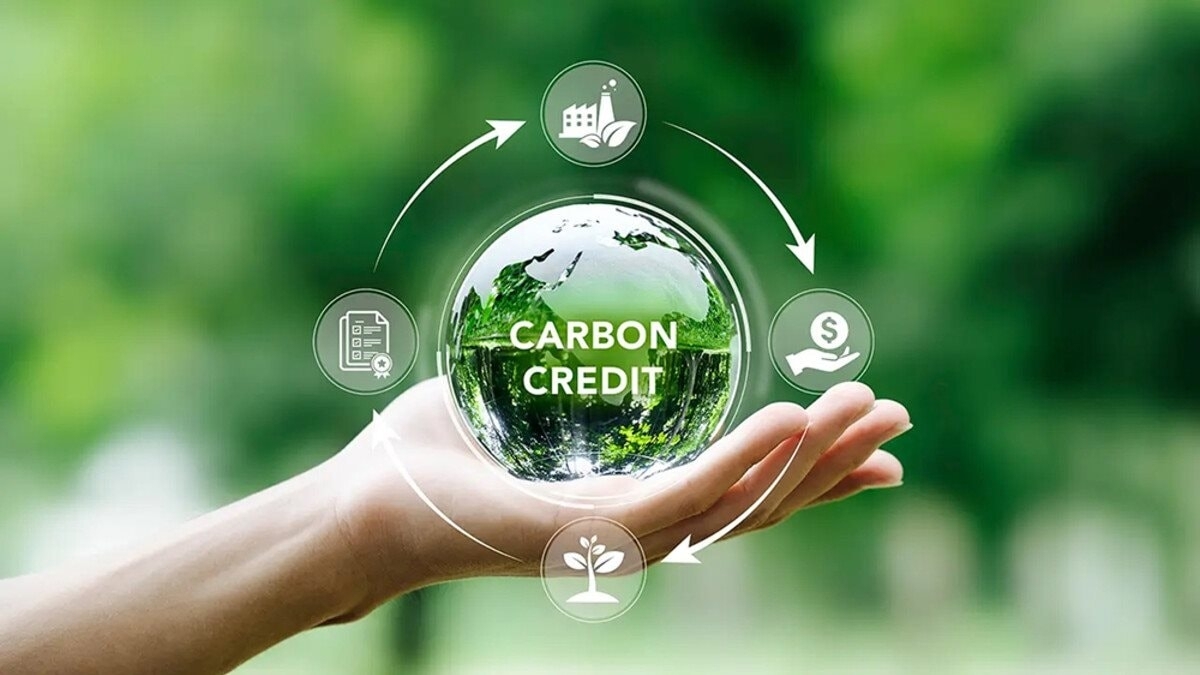 Khơi thông nguồn lực phát triển kinh tế xanh từ tín chỉ carbon