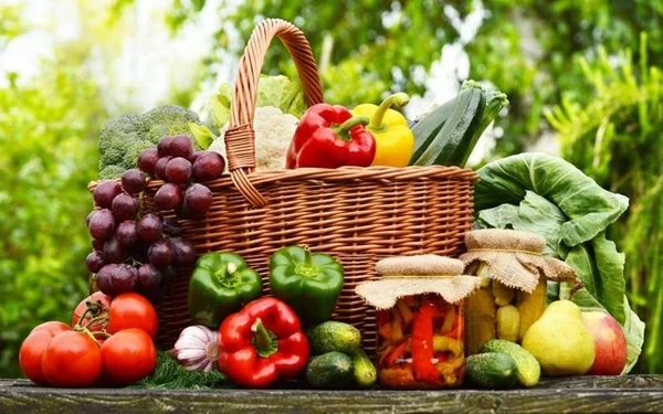 Ăn nhiều trái cây có liên quan ung thư phổi ở người trẻ? Chuyên gia cảnh báo điều quan trọng Ăn nhiều trái cây có liên quan ung thư phổi ở người trẻ? Chuyên gia cảnh báo điều quan trọng