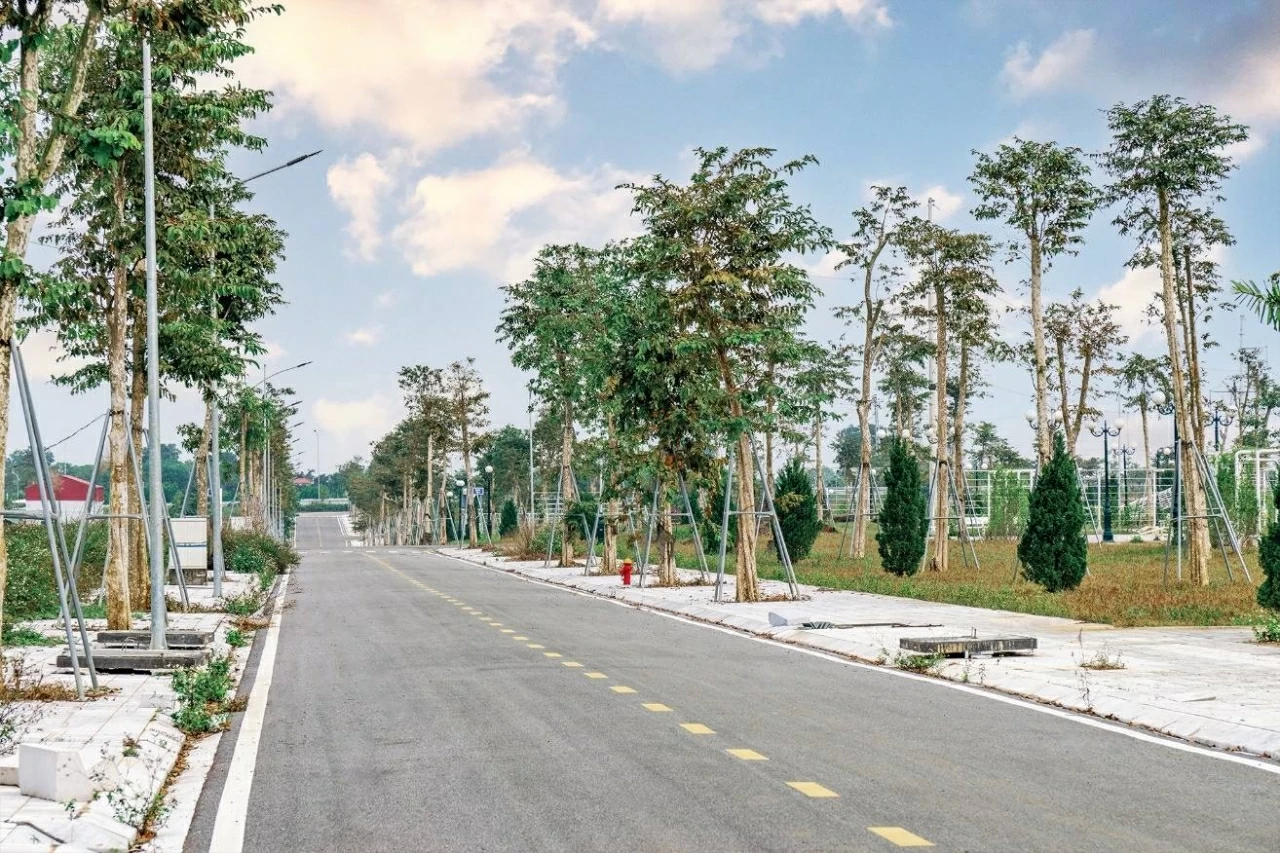Hàng cây xanh phủ bóng những con đường nội khu Sao Mai Residence. Hàng cây xanh phủ bóng những con đường nội khu Sao Mai Residence.
