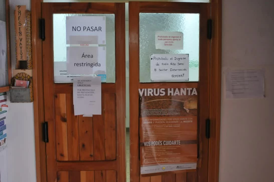 Virus Hanta chủng Andes: Ẩn số dịch tễ từ làng Epuyen tới tàu du lịch MV Hondius Virus Hanta chủng Andes: Ẩn số dịch tễ từ làng Epuyen tới tàu du lịch MV Hondius