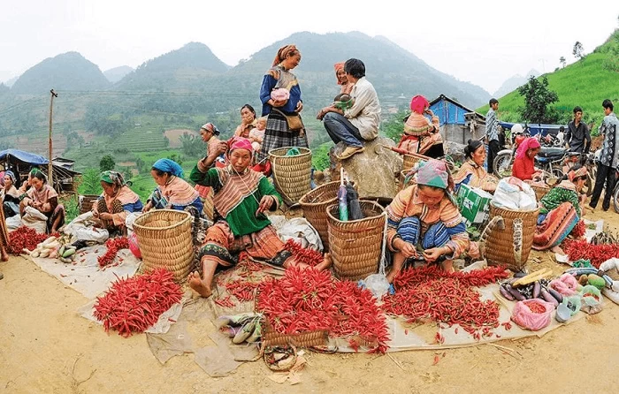 Chợ phiên Tả Sìn Thàng: Điểm hẹn văn hóa sống giữa núi rừng Điện Biên Chợ phiên Tả Sìn Thàng: Điểm hẹn văn hóa sống giữa núi rừng Điện Biên