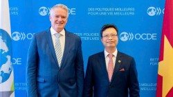 Đại sứ Việt Nam tại Pháp Trịnh Đức Hải gặp Tổng thư ký OECD Mathias Cormann