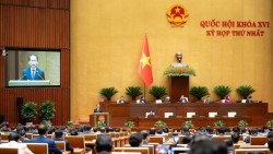 Thí điểm chế định luật sư công tại 8 bộ và 10 địa phương từ ngày 1/10/2026