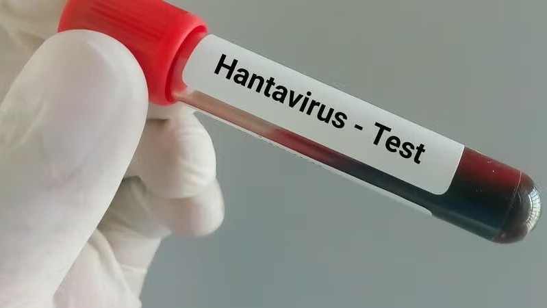 Dịch Hantavirus: Nỗi lo truyền nhiễm toàn cầu