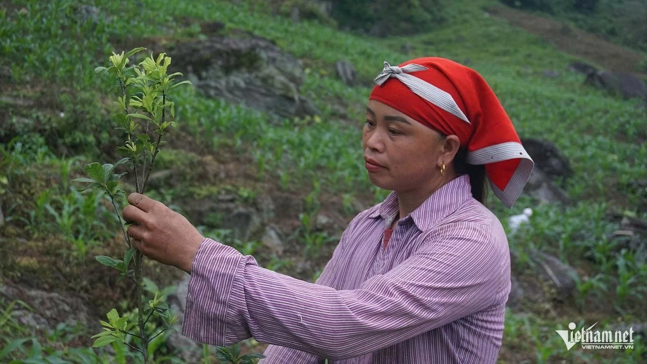 Đẩy mạnh chính sách dân tộc, 'chạm' vào đời sống đồng bào