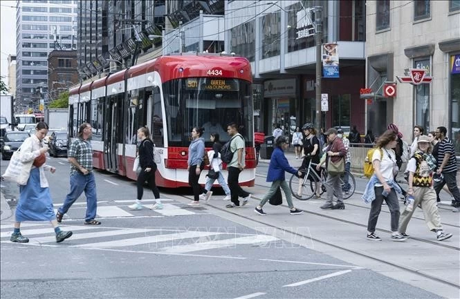 Thành phố Toronto giải bài toán giao thông đô thị dịp World Cup 2026