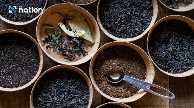 Ngày quốc tế Trà: Hơn cả một thức uống toàn cầu