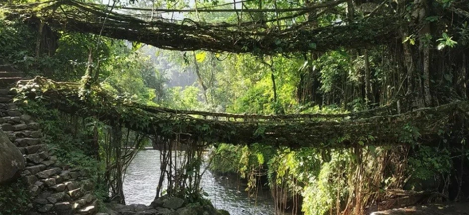 Ấn Độ: Ngôi làng nhiều mưa