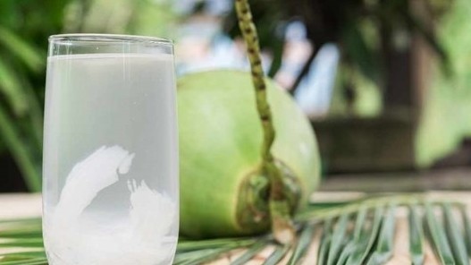 Uống nước dừa đúng cách: Bổ sung điện giải, không lo tăng cân