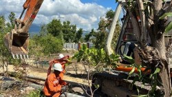 Lịch cúp điện Đắk Lắk hôm nay ngày 17/5/2026