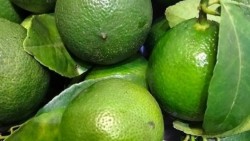 Vỏ chanh và những lợi ích sức khỏe nhưng cần dùng đúng cách