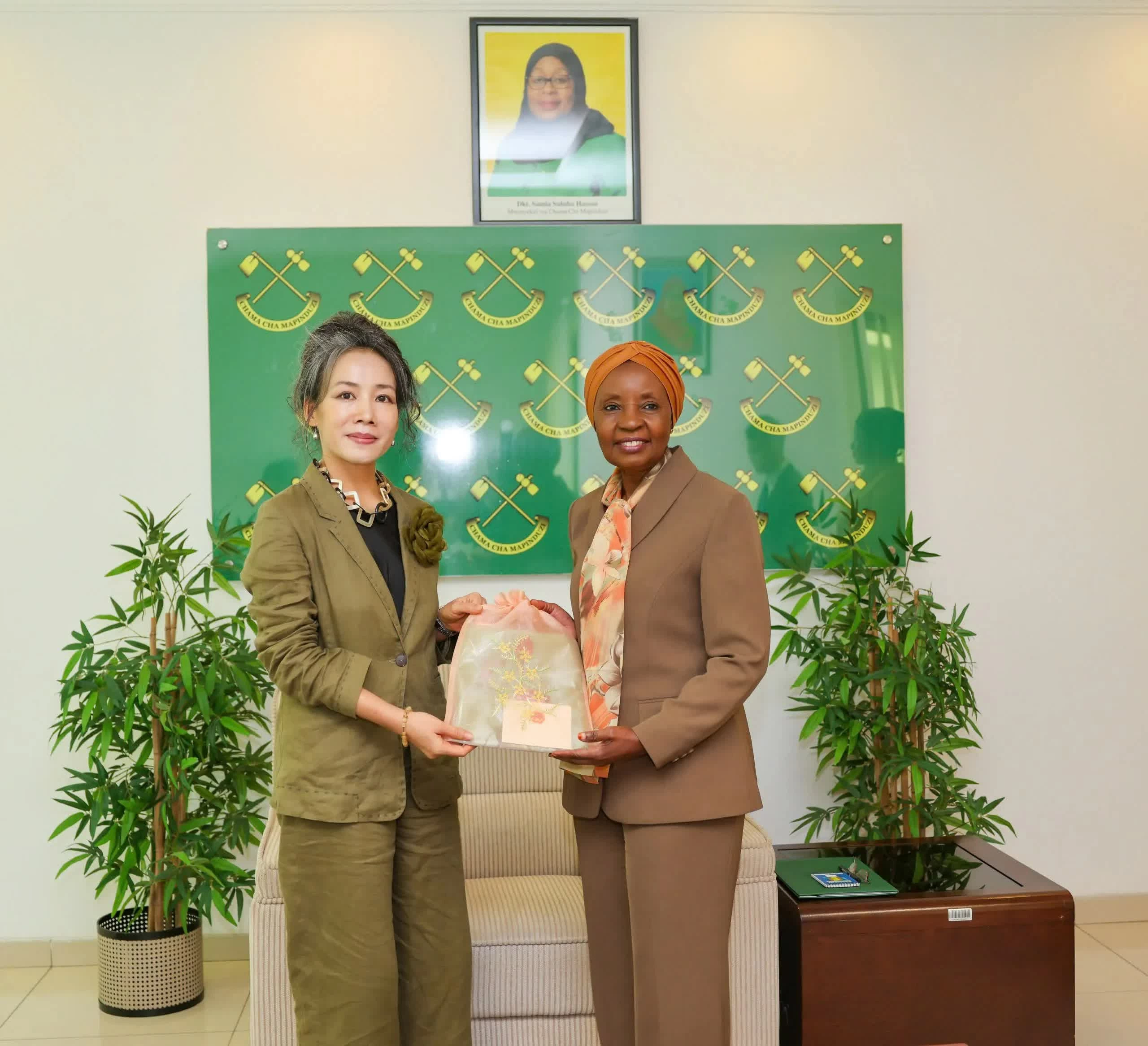 Việt Nam-Tanzania thúc đẩy hợp tác Đảng, mở rộng kết nối toàn diện