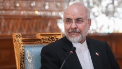 Chủ tịch Quốc hội Iran được giao phụ trách quan hệ với Trung Quốc