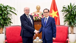 Bộ trưởng Ngoại giao Lê Hoài Trung tiếp Quốc vụ khanh Bộ Ngoại giao Thụy Điển