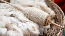 Biến len thành vật liệu hỗ trợ tái tạo xương