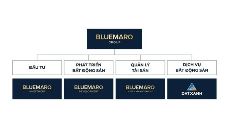 Mô hình hoạt động của BLUEMARQ GROUP