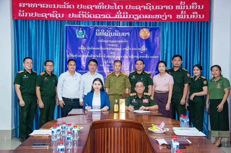 Hoa hậu Doanh nhân 2026 Nguyễn Hoàng Vân - Hành trình của nhan sắc, trí tuệ và lòng nhân ái Hoa hậu Doanh nhân 2026 Nguyễn Hoàng Vân - Hành trình của nhan sắc, trí tuệ và lòng nhân ái