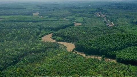 Thúc đẩy bảo vệ và phát triển rừng gắn với mục tiêu giảm phát thải khí nhà kính và tăng trưởng xanh