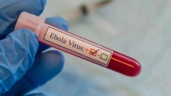Bộ Y tế yêu cầu tăng cường phòng chống nguy cơ dịch Ebola xâm nhập Việt Nam