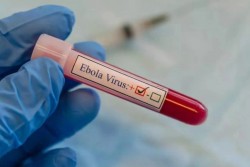 Bộ Y tế yêu cầu tăng cường phòng chống nguy cơ dịch Ebola xâm nhập Việt Nam