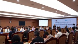 Việt Nam – Liên hợp quốc thúc đẩy hợp tác phát triển bền vững