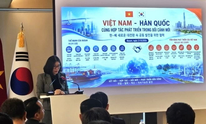 Tọa đàm Việt Nam-Hàn Quốc cùng hợp tác phát triển trong bối cảnh mới tại Busan Tọa đàm Việt Nam-Hàn Quốc cùng hợp tác phát triển trong bối cảnh mới tại Busan