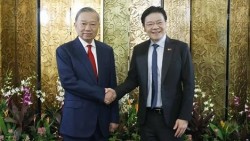 Tổng Bí thư, Chủ tịch nước Tô Lâm hội đàm với Thủ tướng Singapore Lawrence Wong