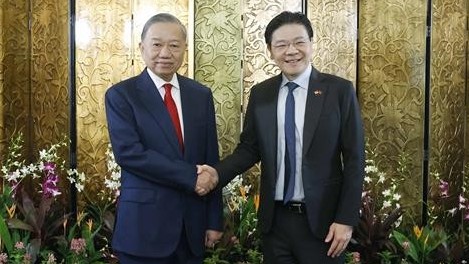 Tổng Bí thư, Chủ tịch nước Tô Lâm hội đàm với Thủ tướng Singapore Lawrence Wong