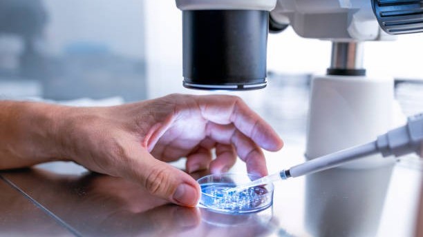 Bước tiến mới giúp người bệnh ung thư vú không cần hóa trị