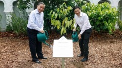 Tổng Bí thư, Chủ tịch nước Tô Lâm trồng cây tại Vườn Bách thảo Singapore