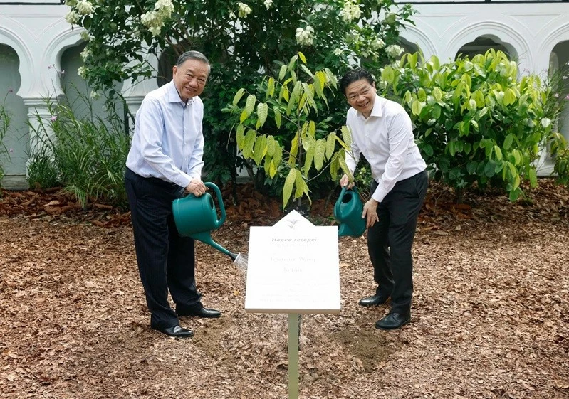 Tổng Bí thư, Chủ tịch nước Tô Lâm trồng cây tại Vườn Bách thảo Singapore