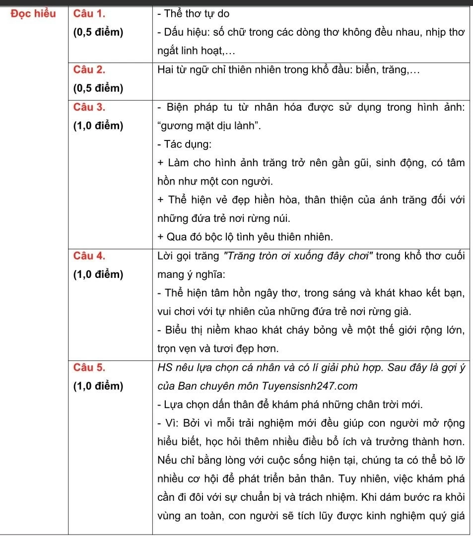 Hướng dẫn giải đề môn Ngữ văn thi lớp 10 tại Hà Nội Hướng dẫn giải đề môn Ngữ văn thi lớp 10 tại Hà Nội
