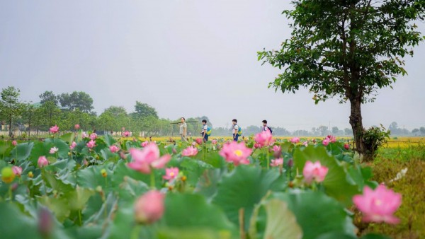 Thành phố Huế tổ chức loạt sự kiện hấp dẫn chào đón du khách trong tháng 6